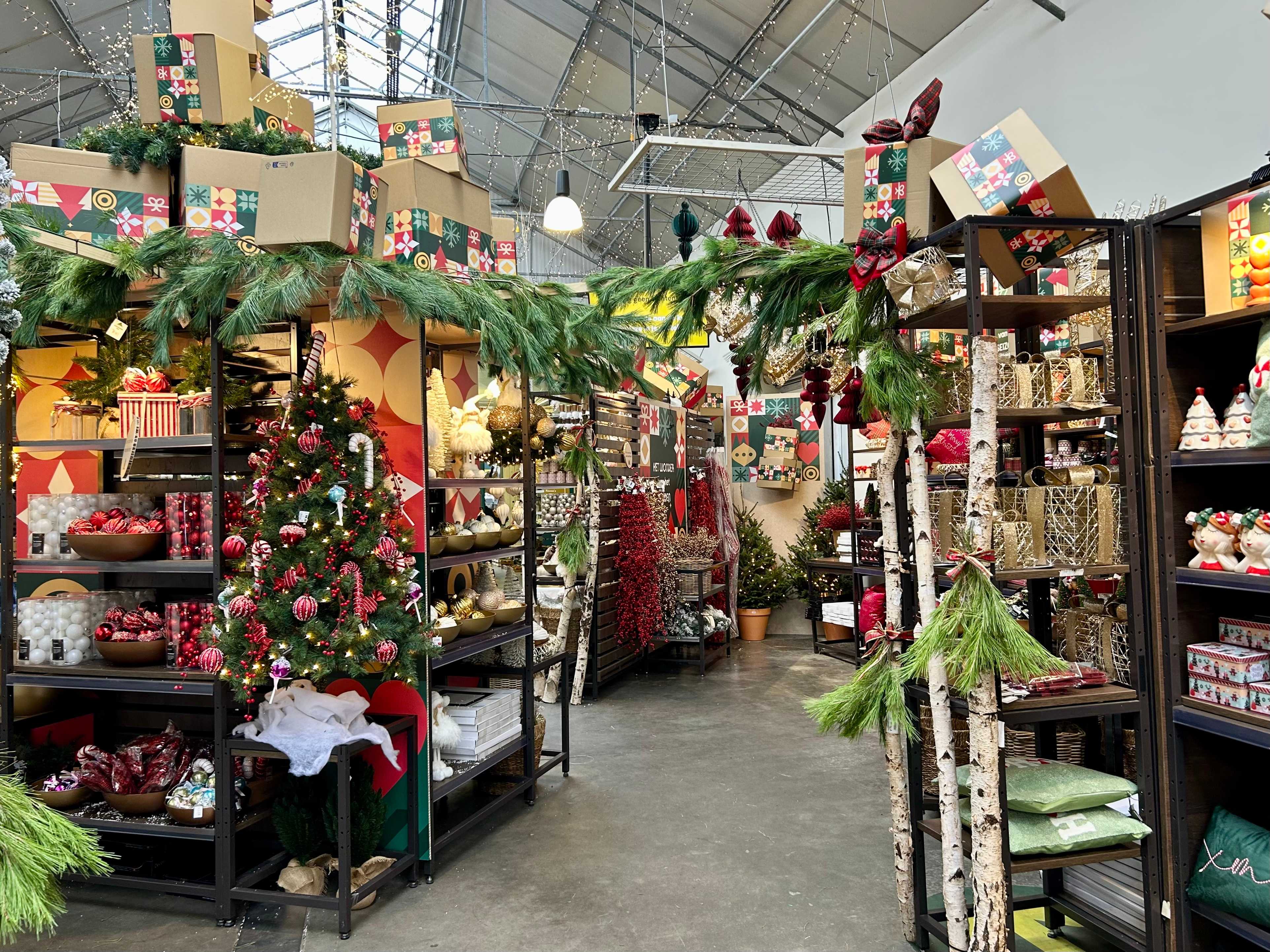 image:bloembollen planten