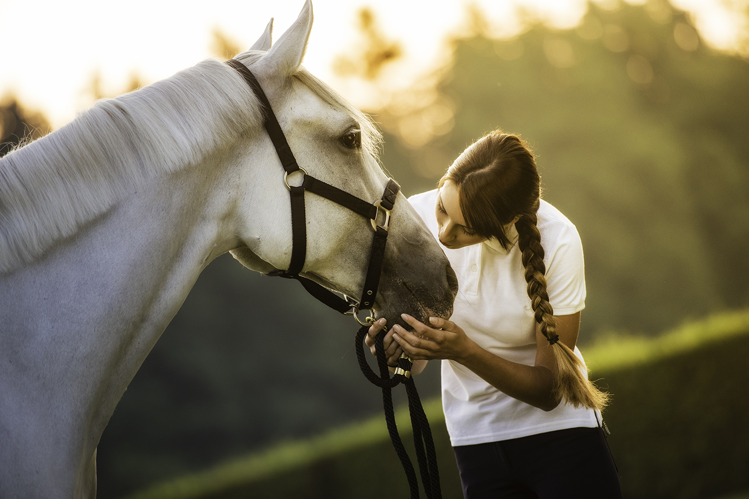 Suppléments pour votre cheval