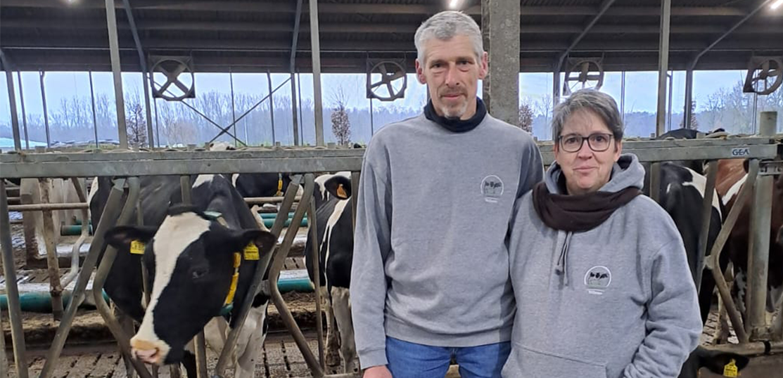 Melkveebedrijf Willems Comvlo