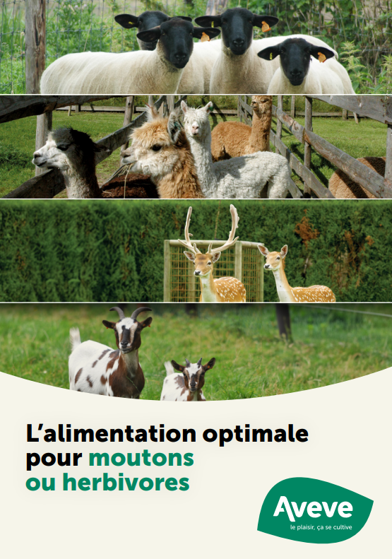 Guide petits ruminants 2025 - Aveve