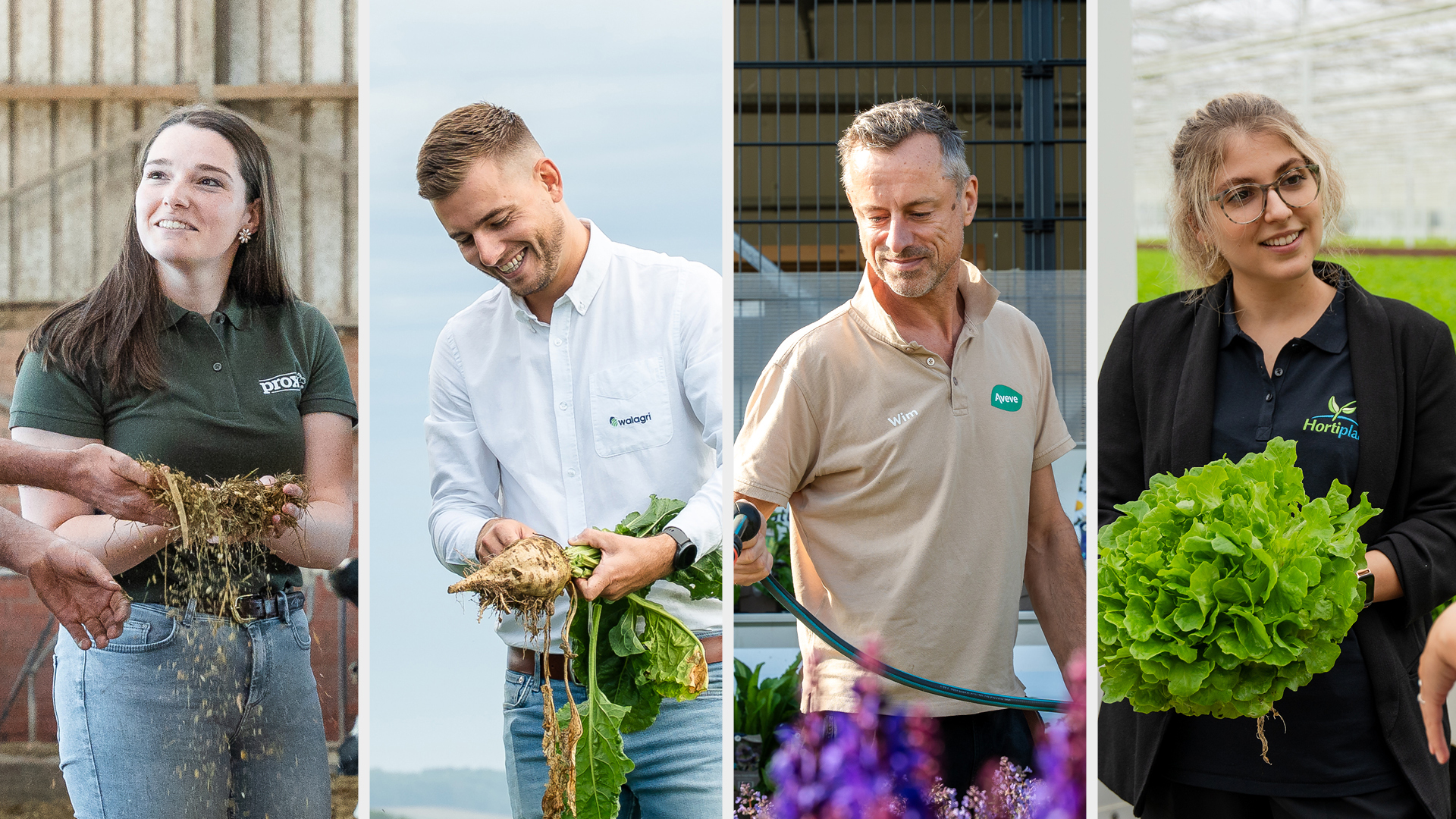 Ruim 125 jaar expertise in 4 domeinen