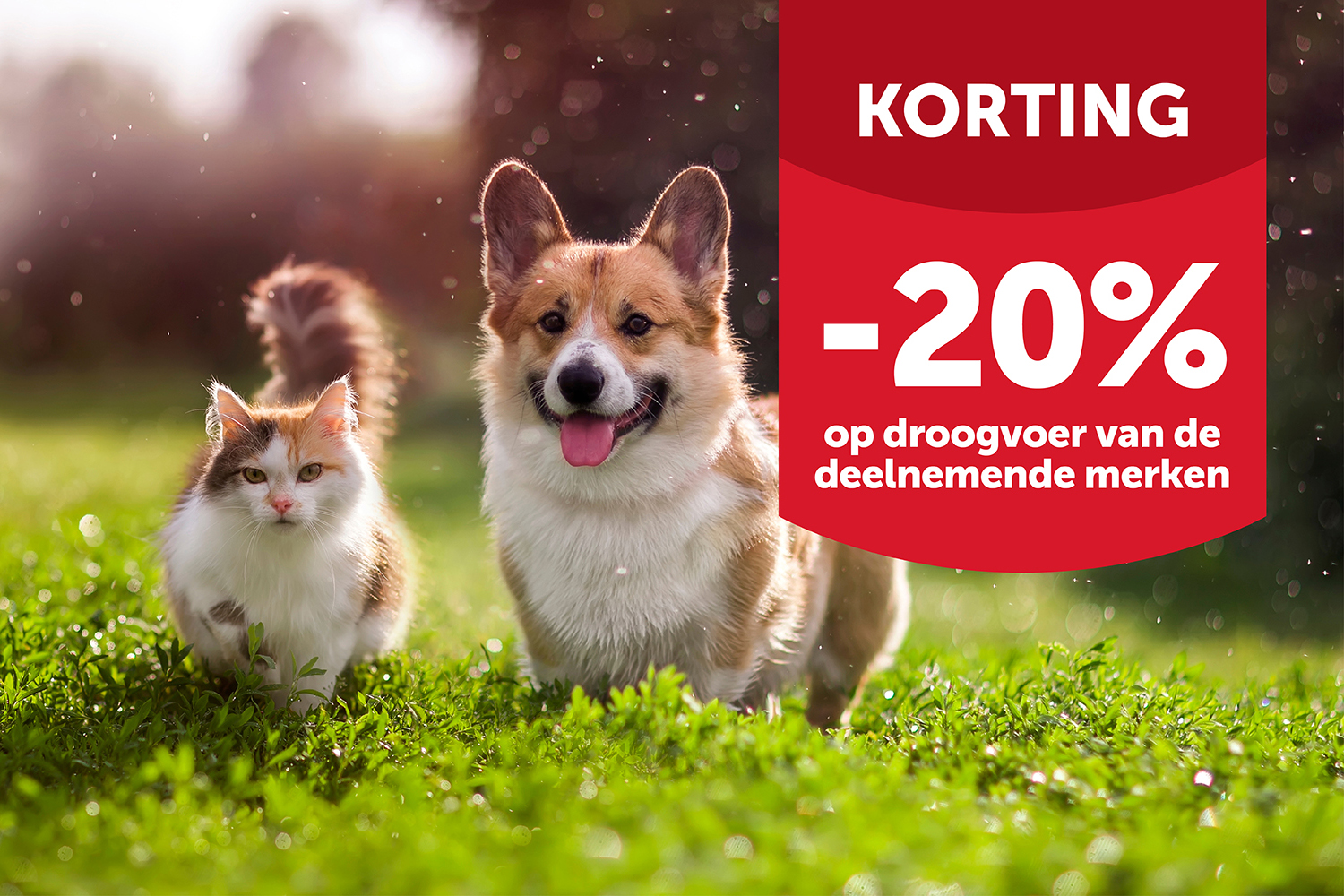 Honden- en kattenbrokkenfestival van 13 tot 24 november - Aveve