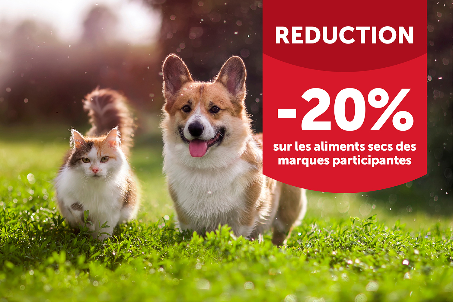 Festival des croquettes pour chien et chat | 13 - 24 novembre - Aveve