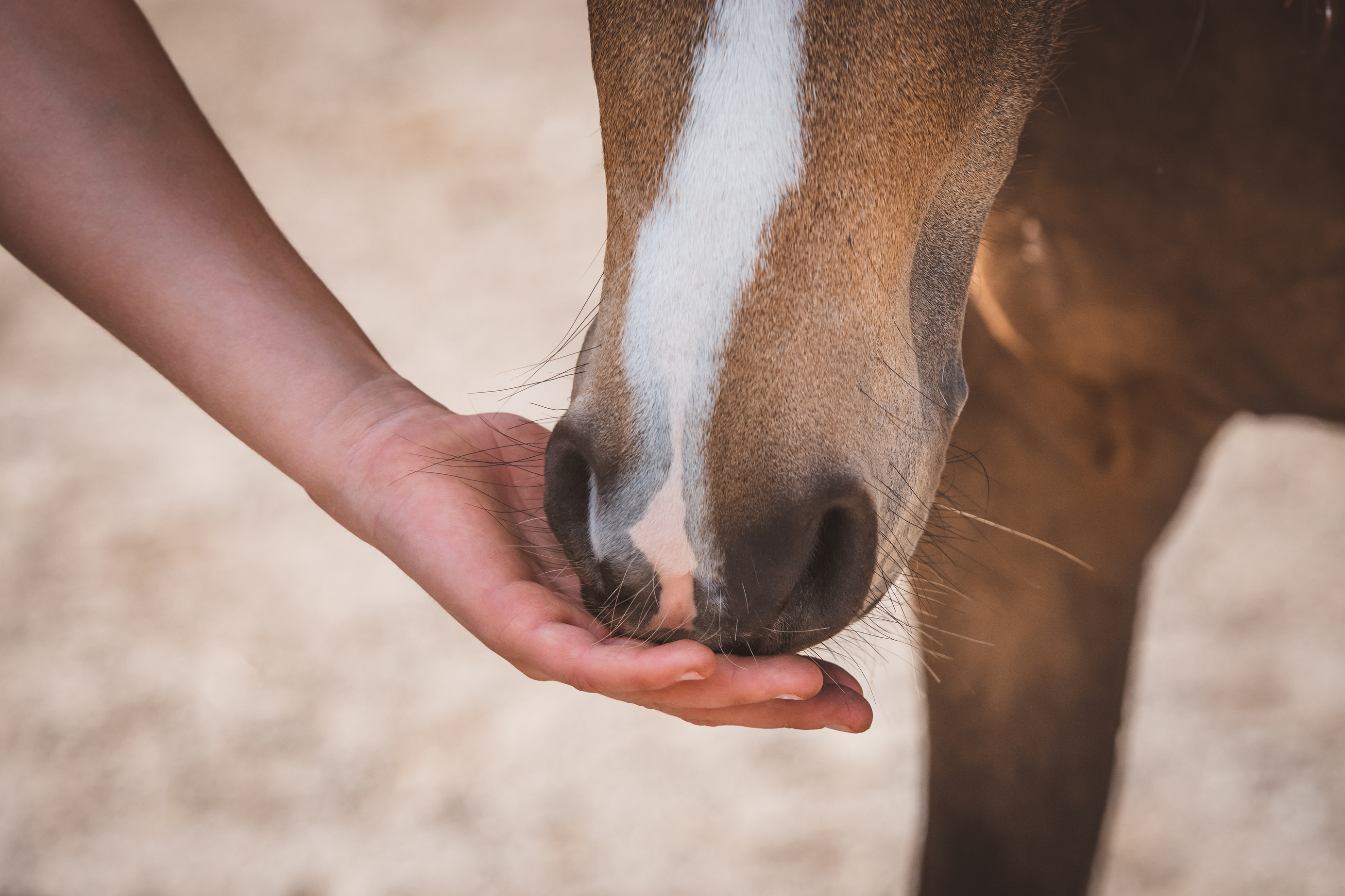 Voordelen EQL Vitalbar