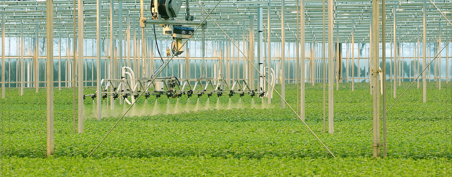 Gewasbescherming sierteelt