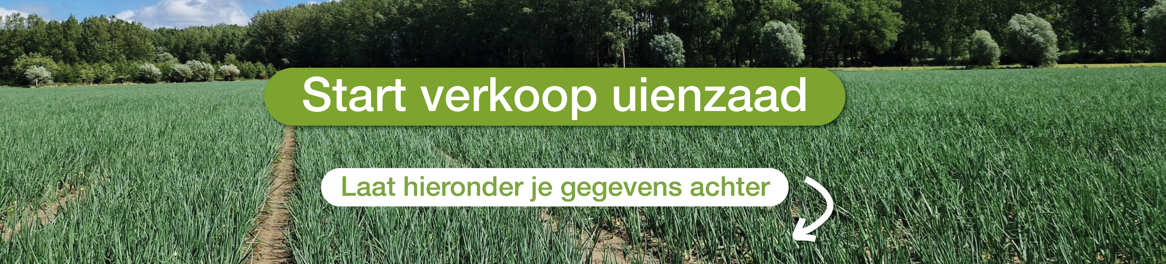 Start verkoop uienzaad banner 1920x435px