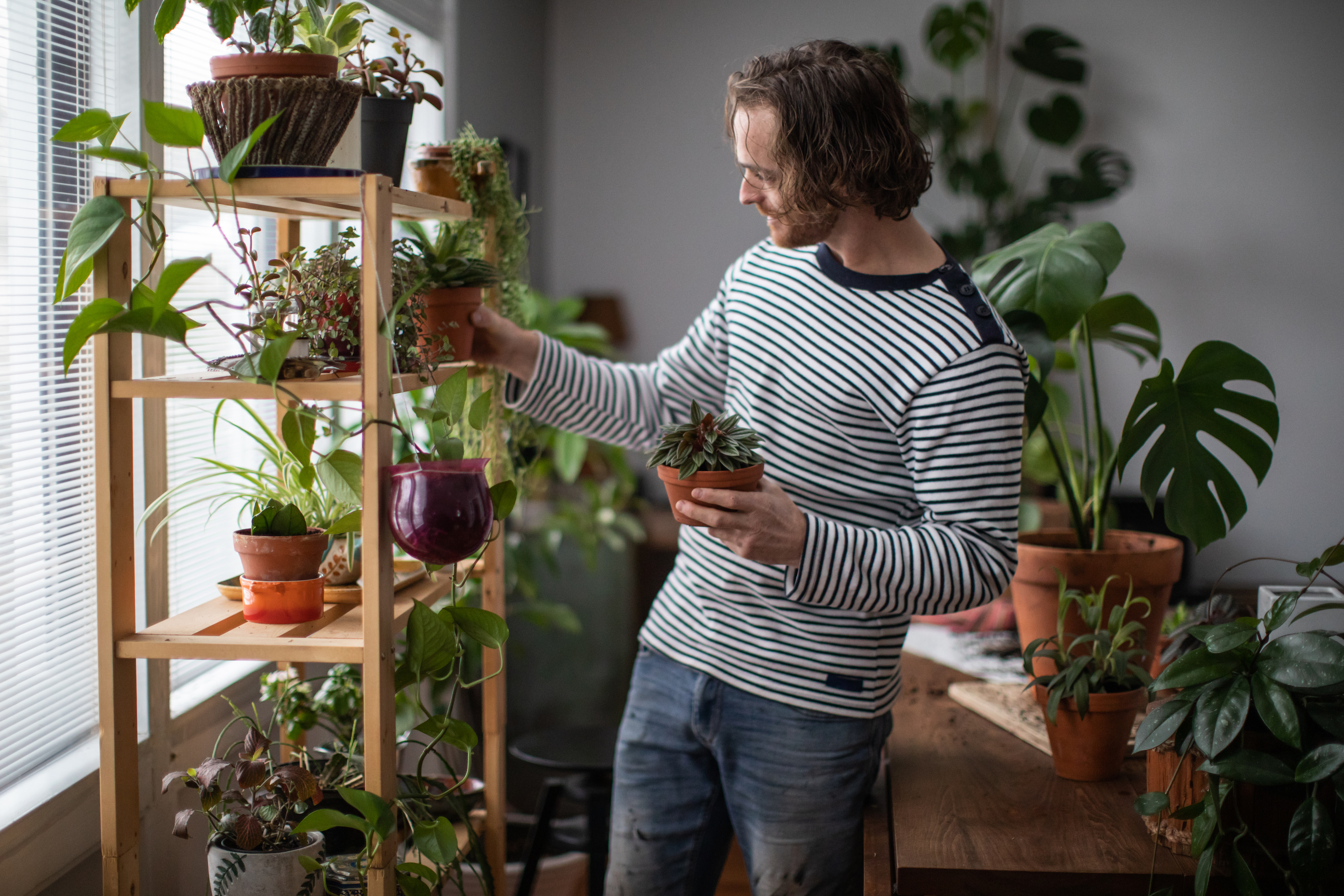 Aveve_Inspiratie_tuin_groen-in-huis_planten-in-huis_man-met-plantenrek-in-huis