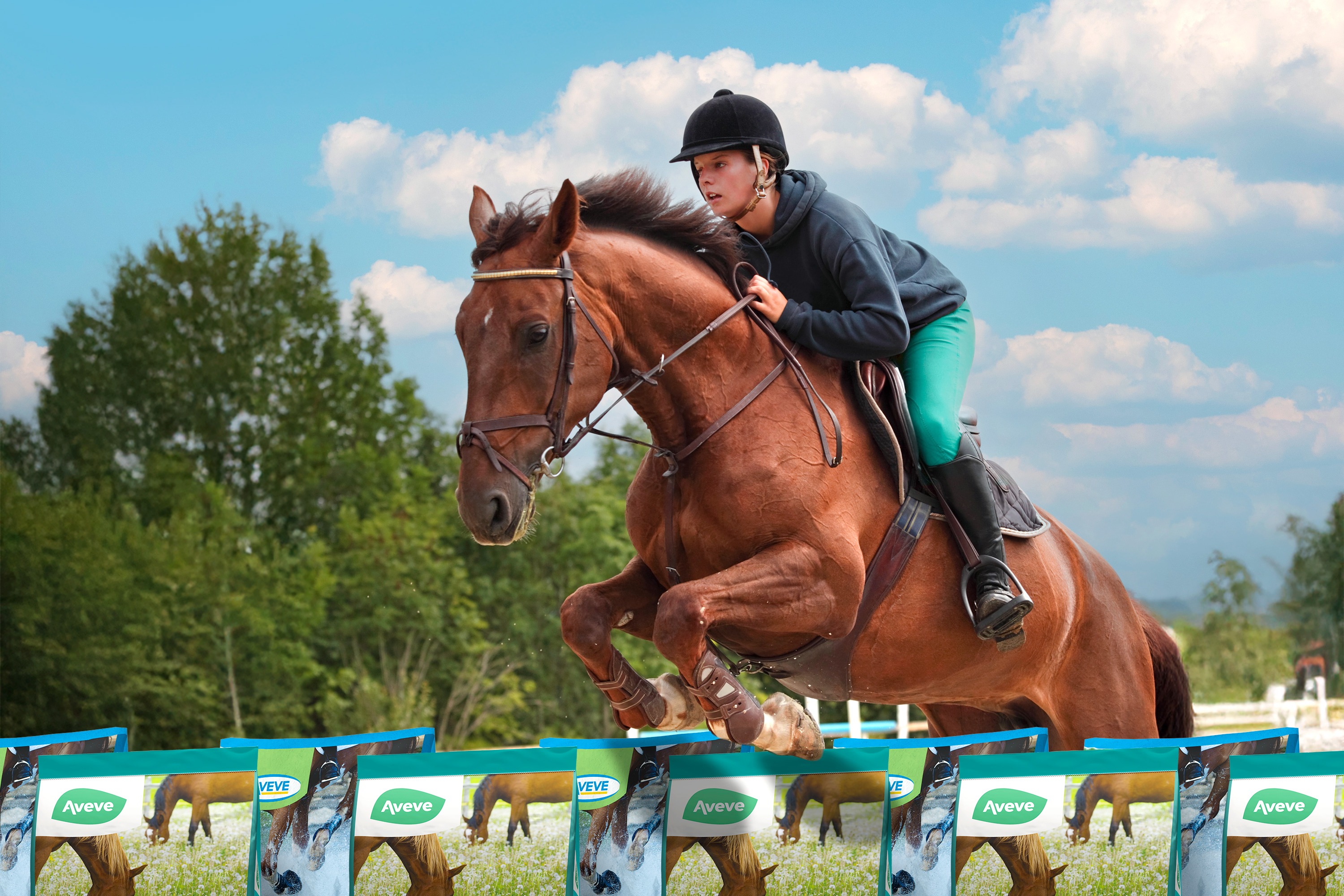 Win 1 jaar gratis paardenvoer
