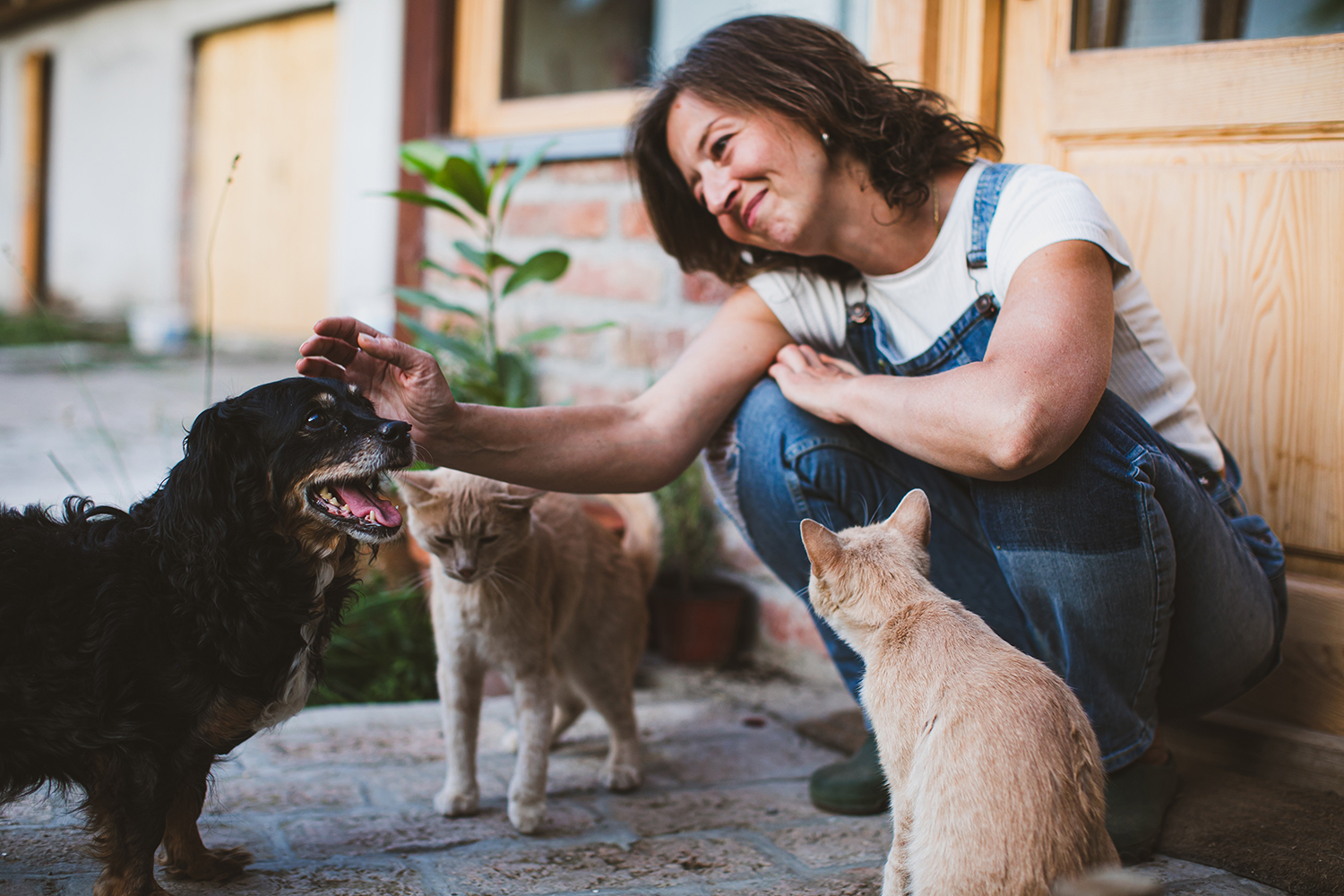 Une femme avec deux chats et un chien - Aveve