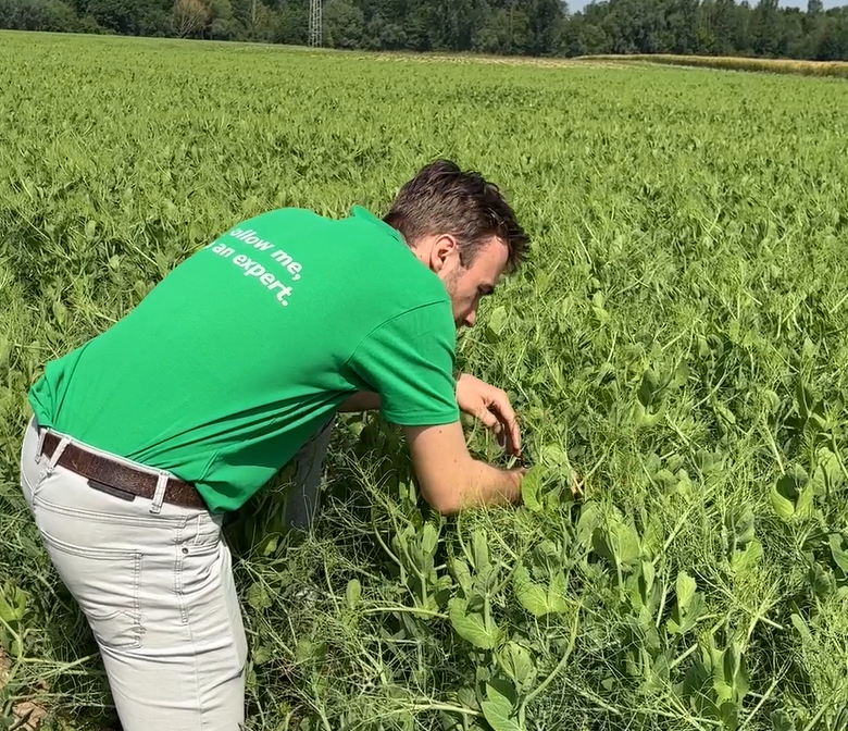 Contractteelten - Arnout Eykerman