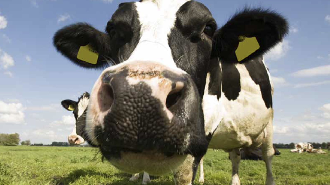 IC_Weidemengselbrochure 2026