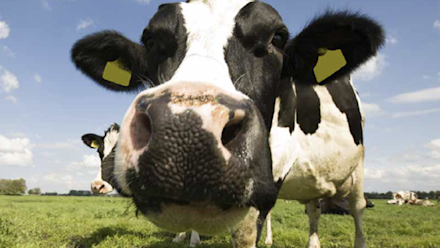 IC_Weidemengselbrochure 2026