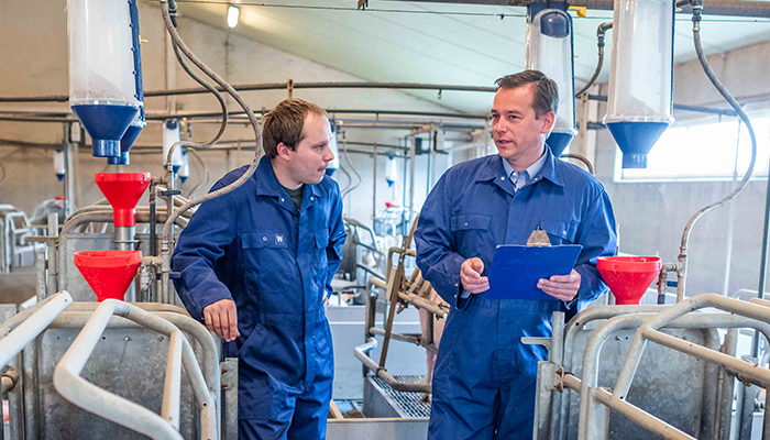 Onze Proxani expert bespreekt met de kweker over het rendement van het bedrijf