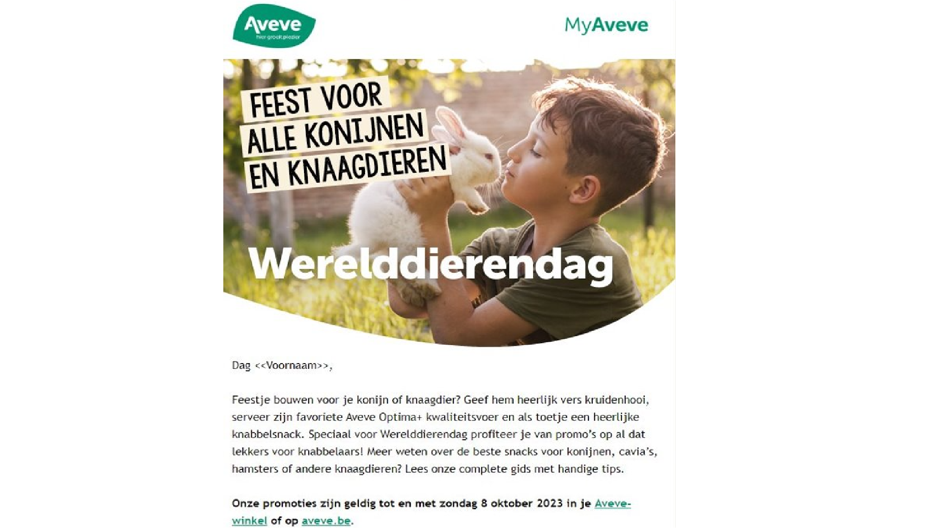 aveve-media-online-email