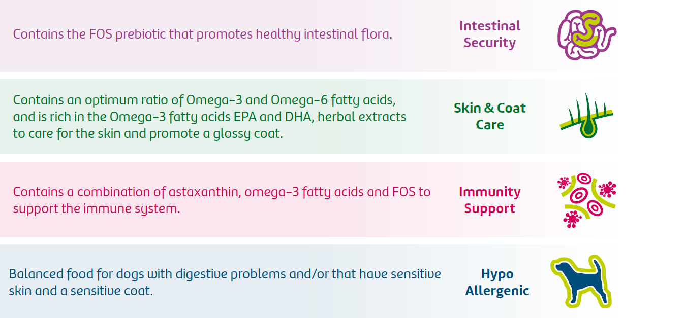 Productplussen Grainfree Salmon Adult