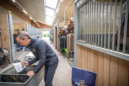 10 gouden tips voor het goed voeren van je paard