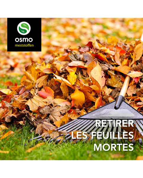 Afgevallen bladeren opruimen