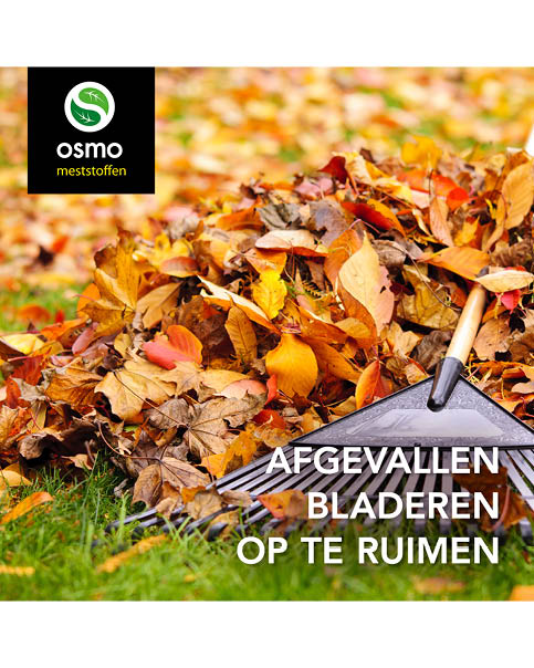 Afgevallen bladeren opruimen