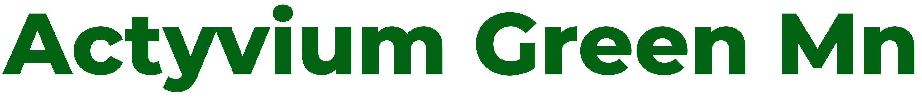 Logo actyvium green mn