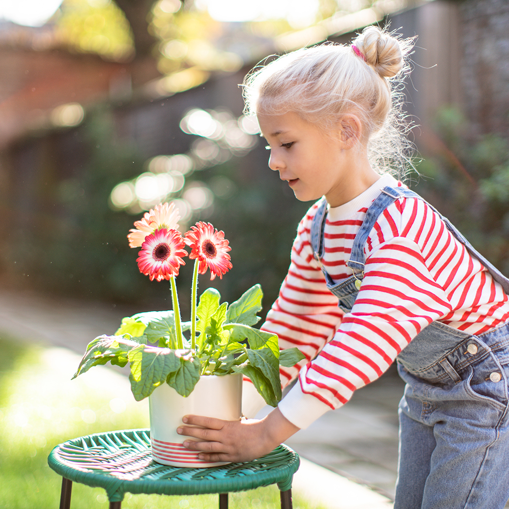 Afbeelding van een kind met een gerbera in de tuin