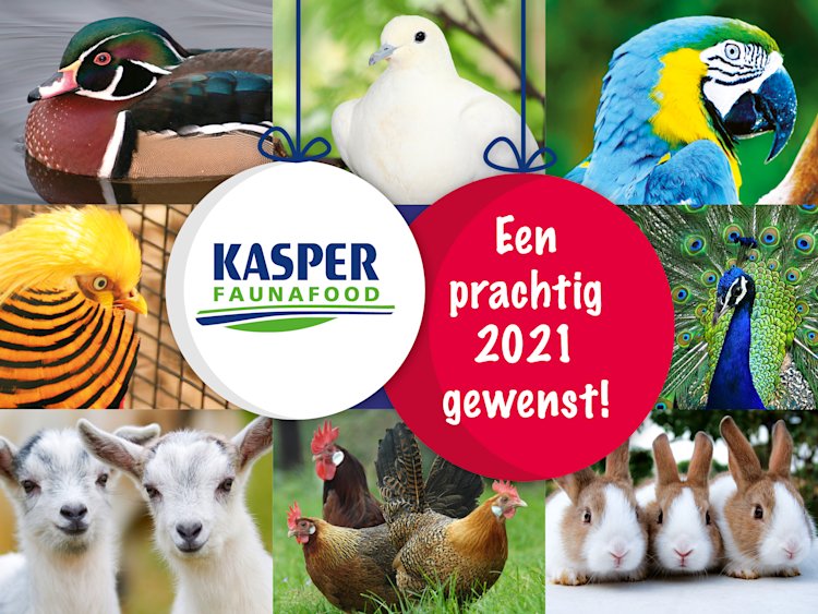 Prettige feestdagen