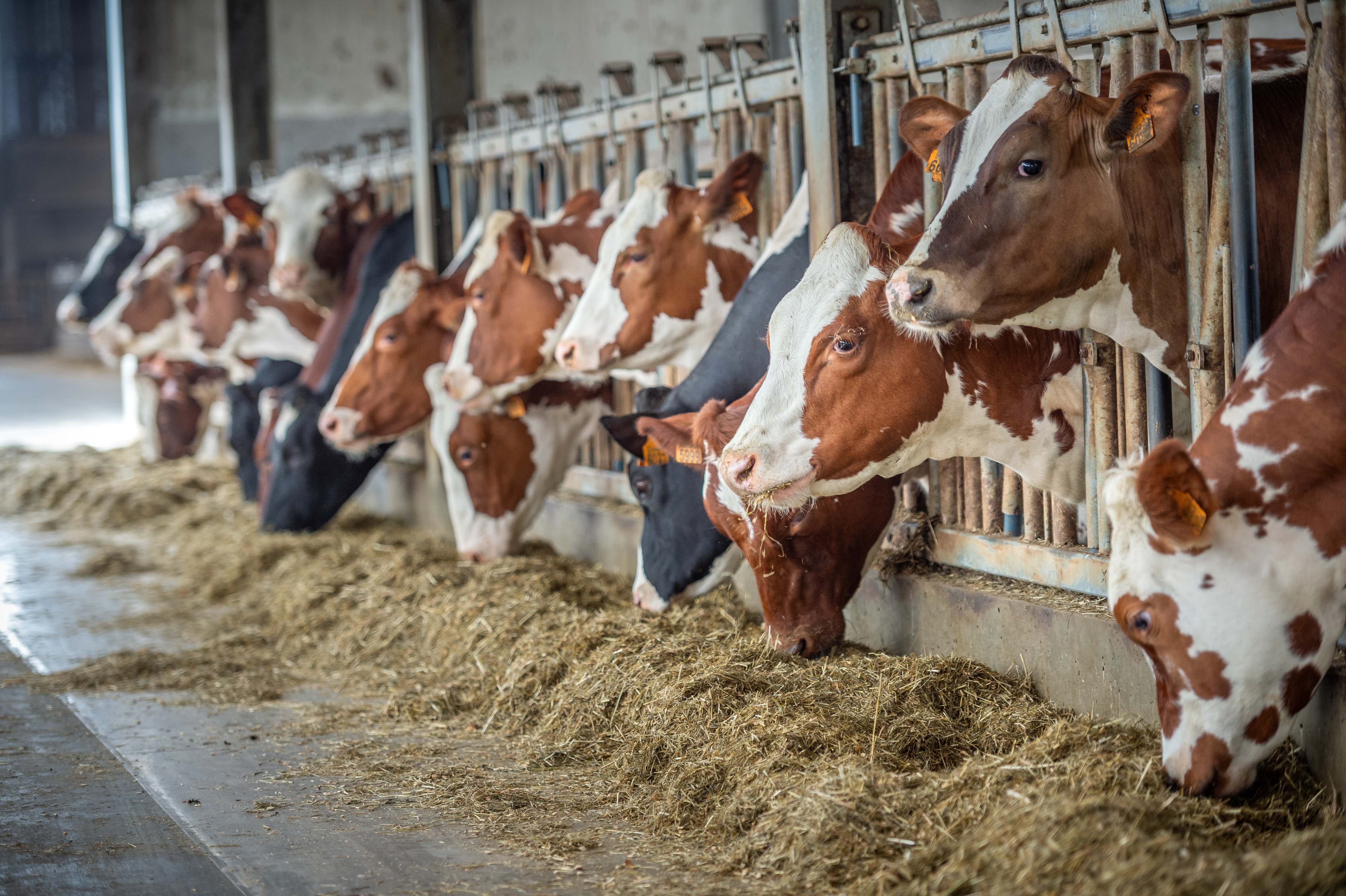 30.05.2025_Nieuwsbrief_AN_ProExpert