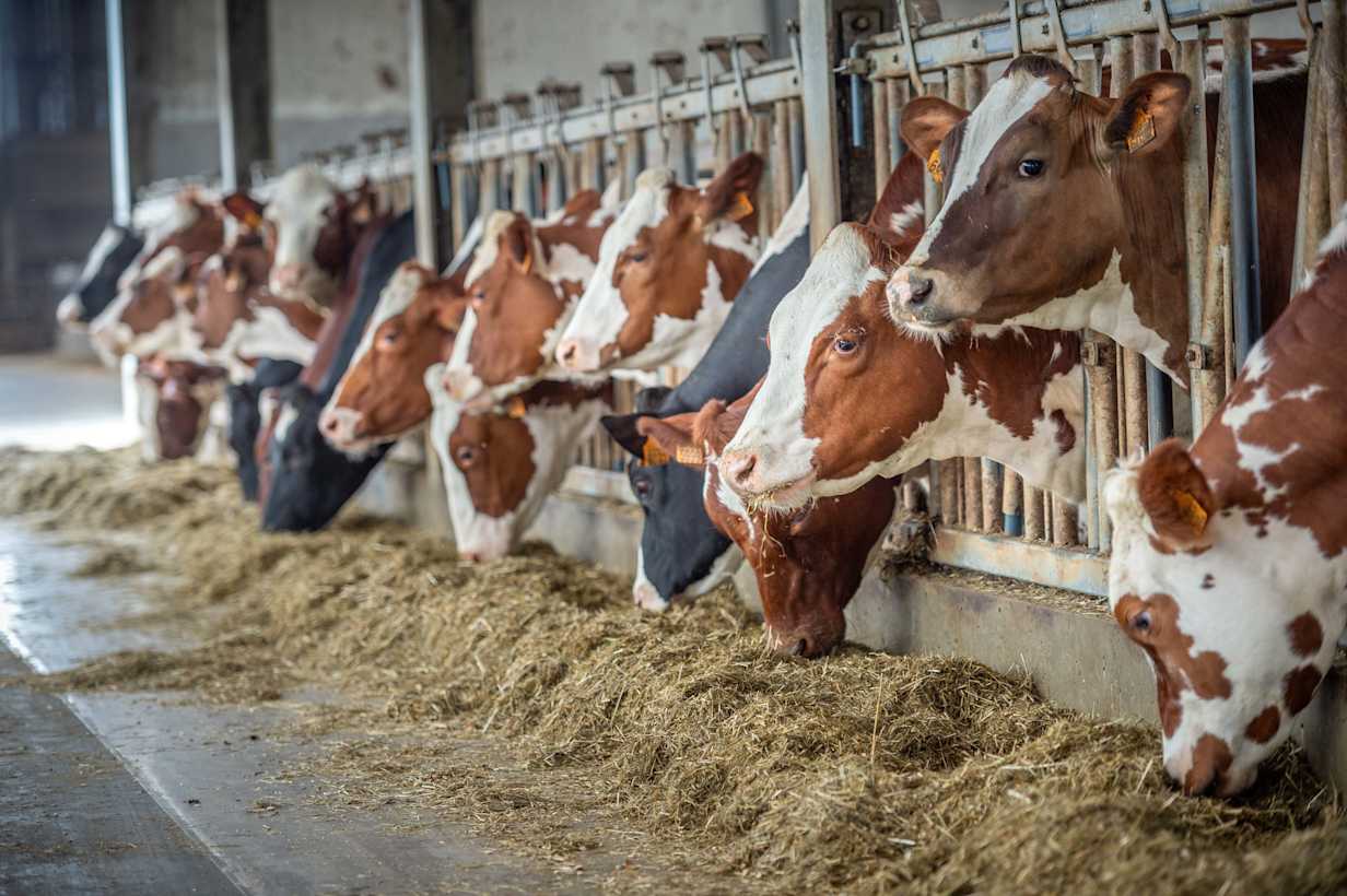 30.05.2025_Nieuwsbrief_AN_ProExpert