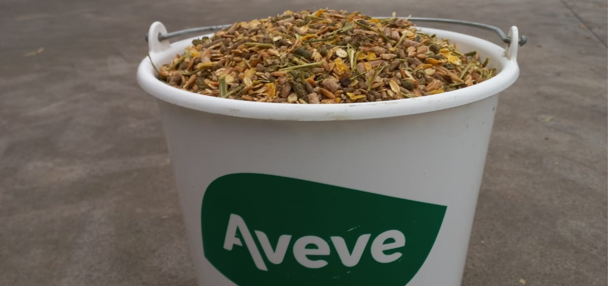 Jongveevoeders 2 968x455px