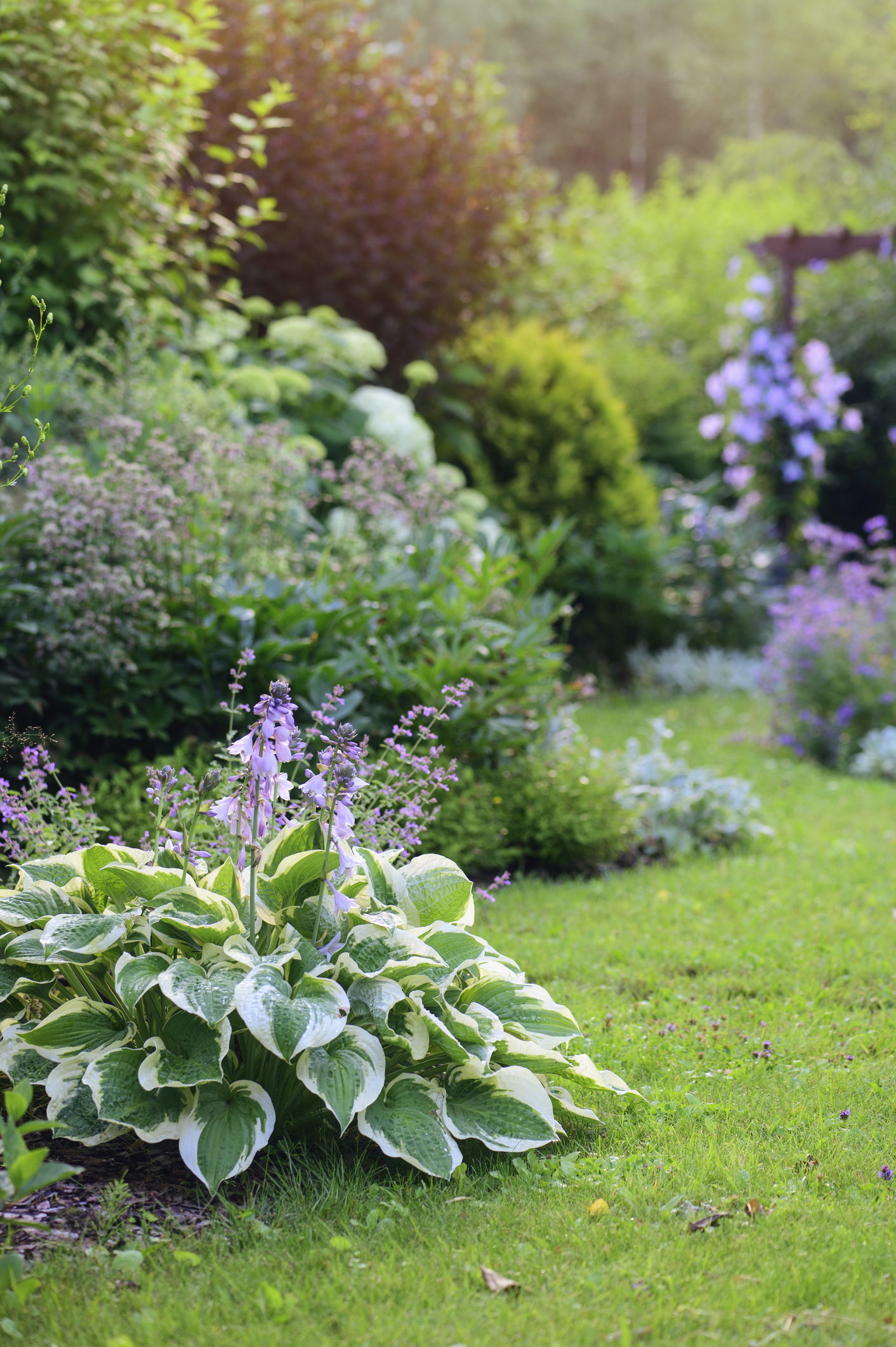 image: tuin juni verticaal