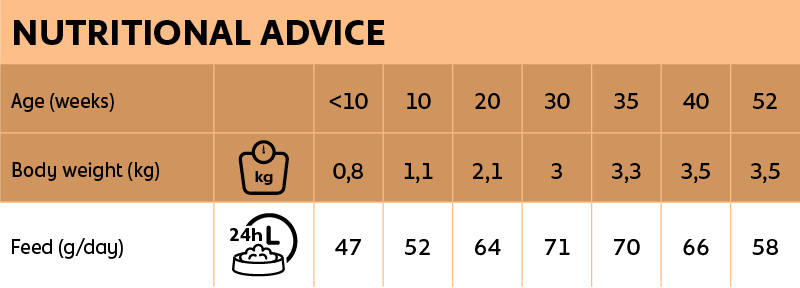 Voedingsadvies New Feline Kitten