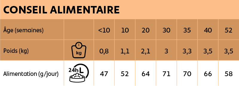 Voedingsadvies New Feline Kitten