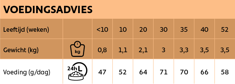 Voedingsadvies New Feline Kitten 