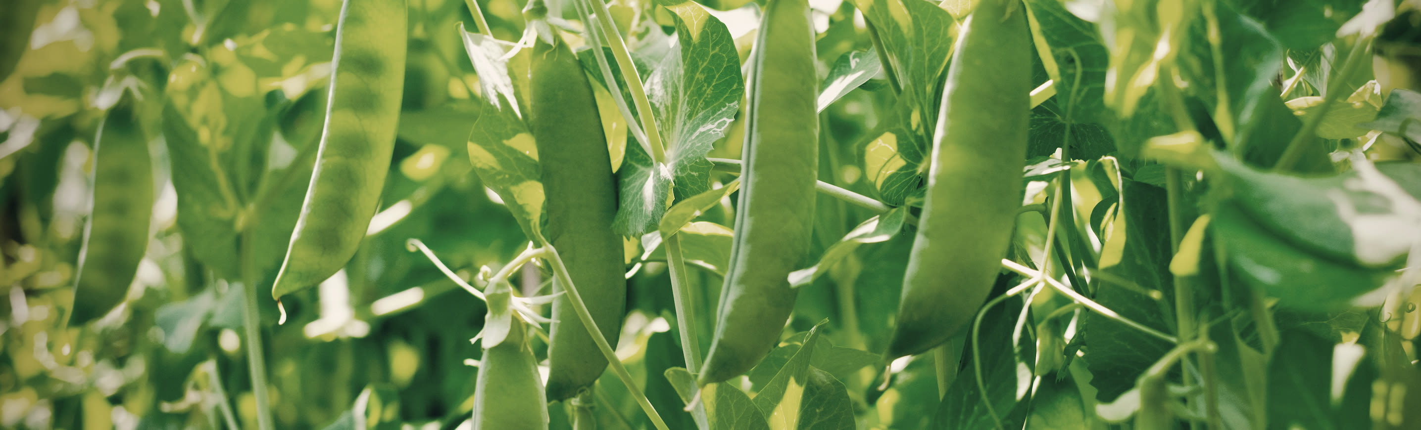 Nuverta-brandimage-2