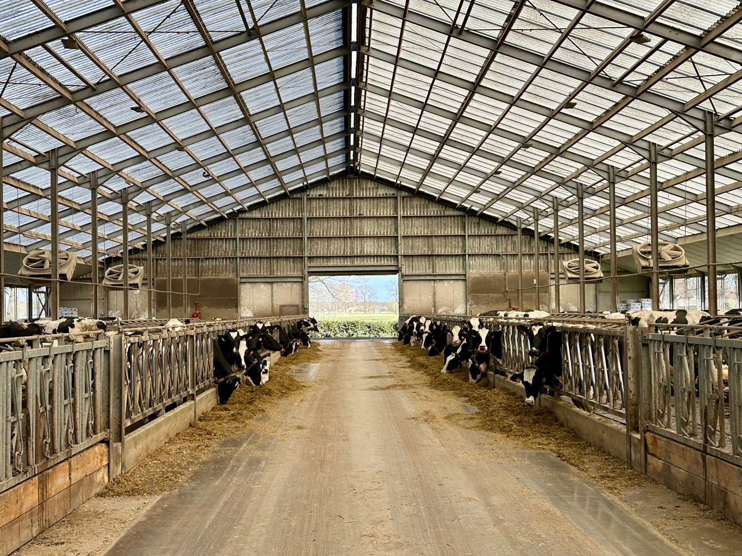 Ontdek ProExpert: Een compleet precisie-instrument