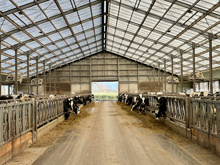 Ontdek ProExpert: Een compleet precisie-instrument