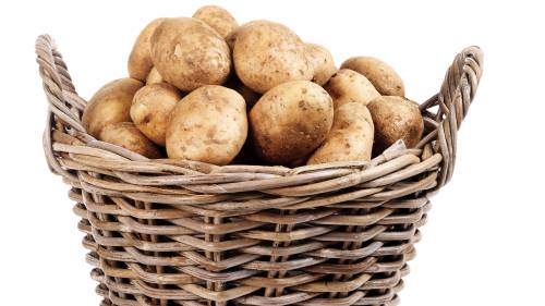 lekker lokaal aardappelen