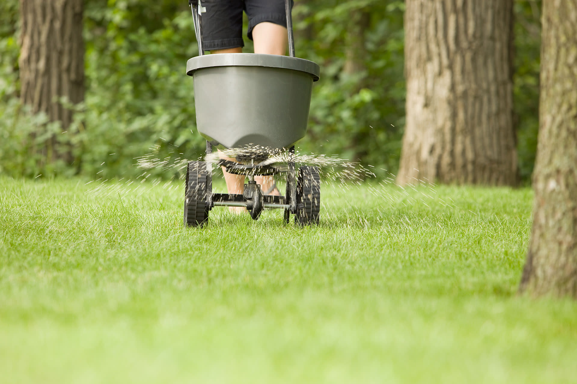 Alles voor je tuin aveve strooiwagens