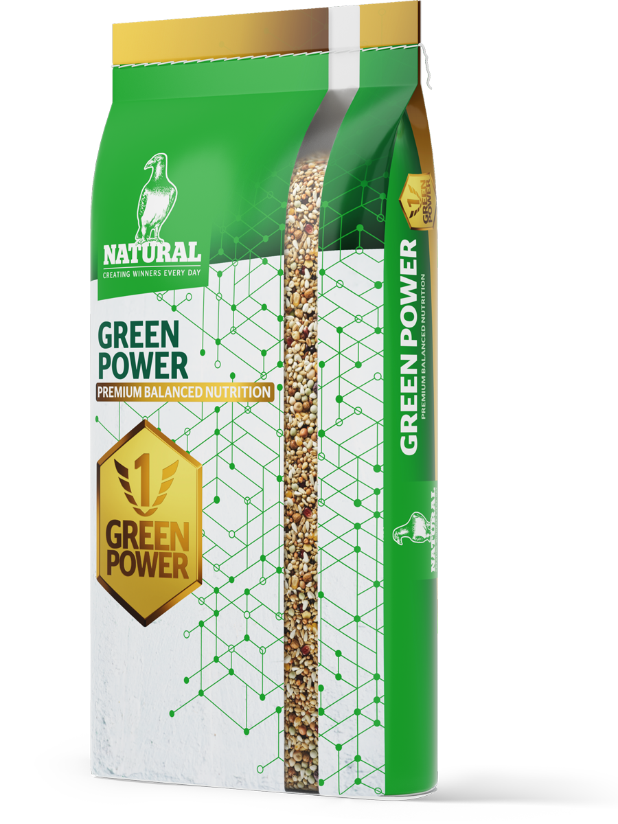 GP Breeding packshot
