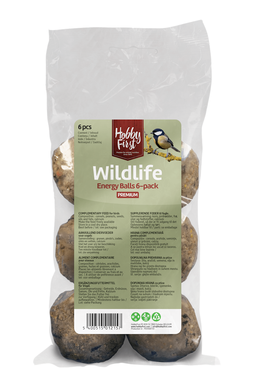 Energy Balls 6-pack packshot