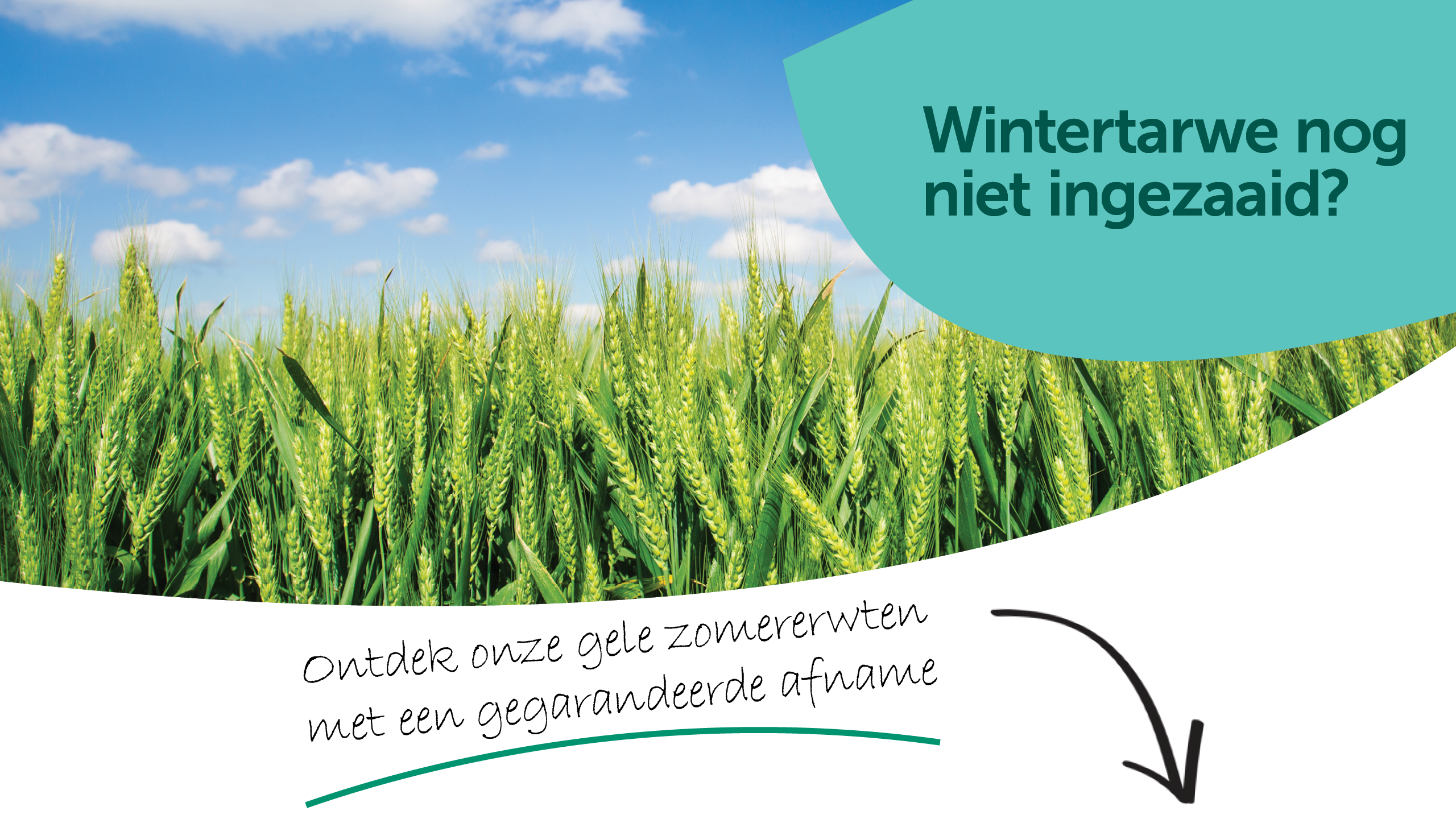 Zomererwten lead gen banner