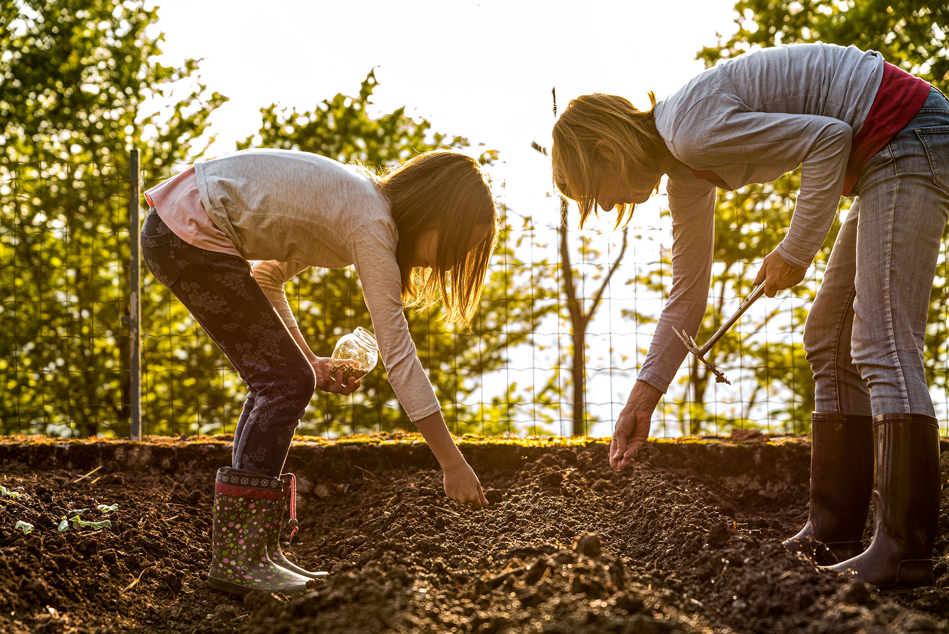 Alles voor je tuin aveve groetenzaden