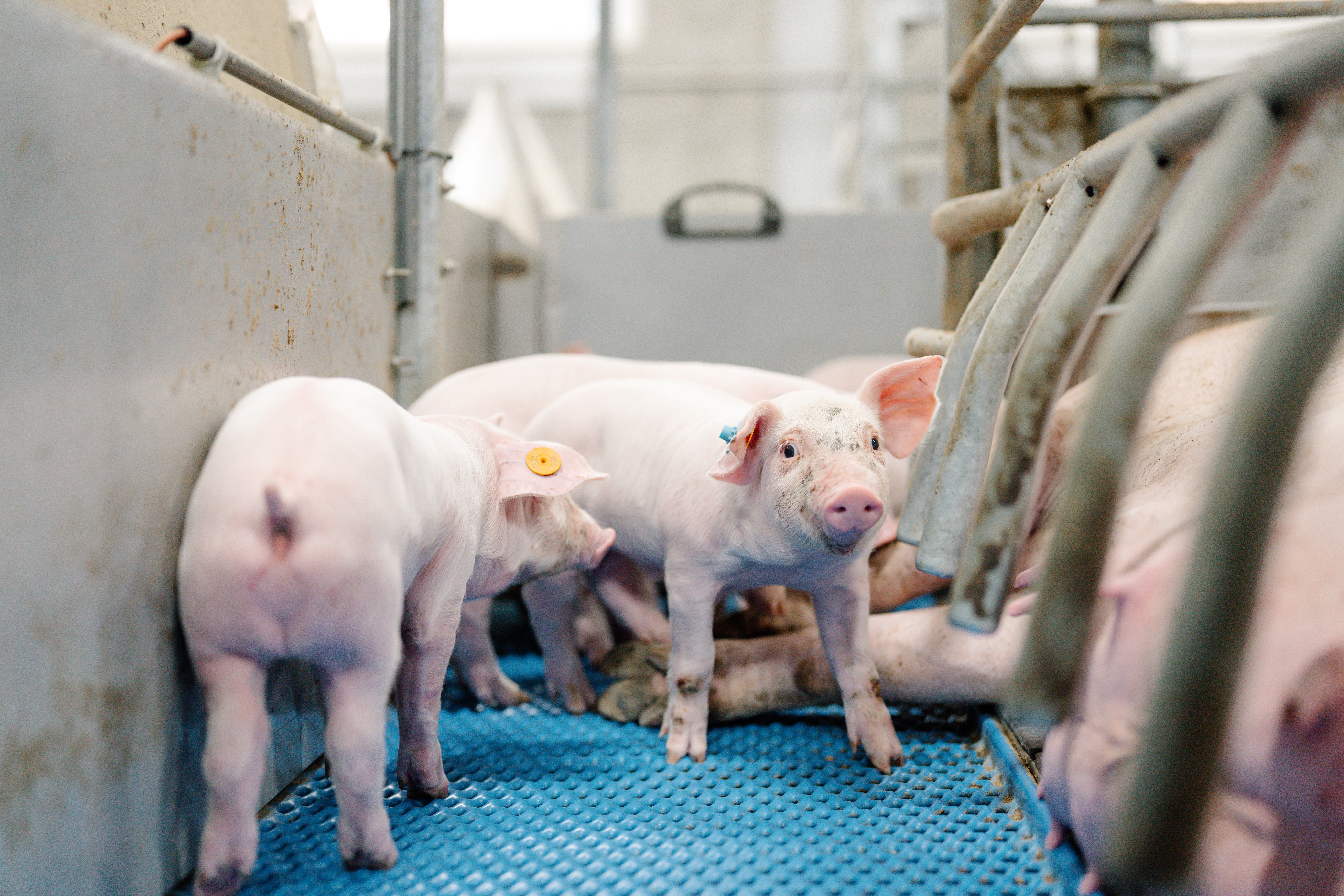 25.06.2025_Nieuwsbrief_AN