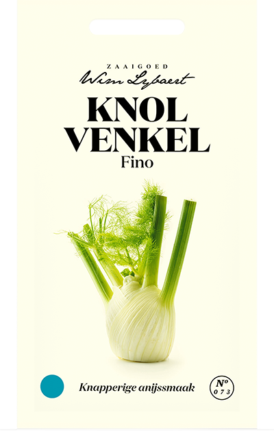 Knolvenkel Fino