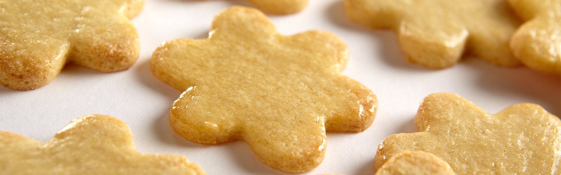 Suikervrije-koekjes_1920-600