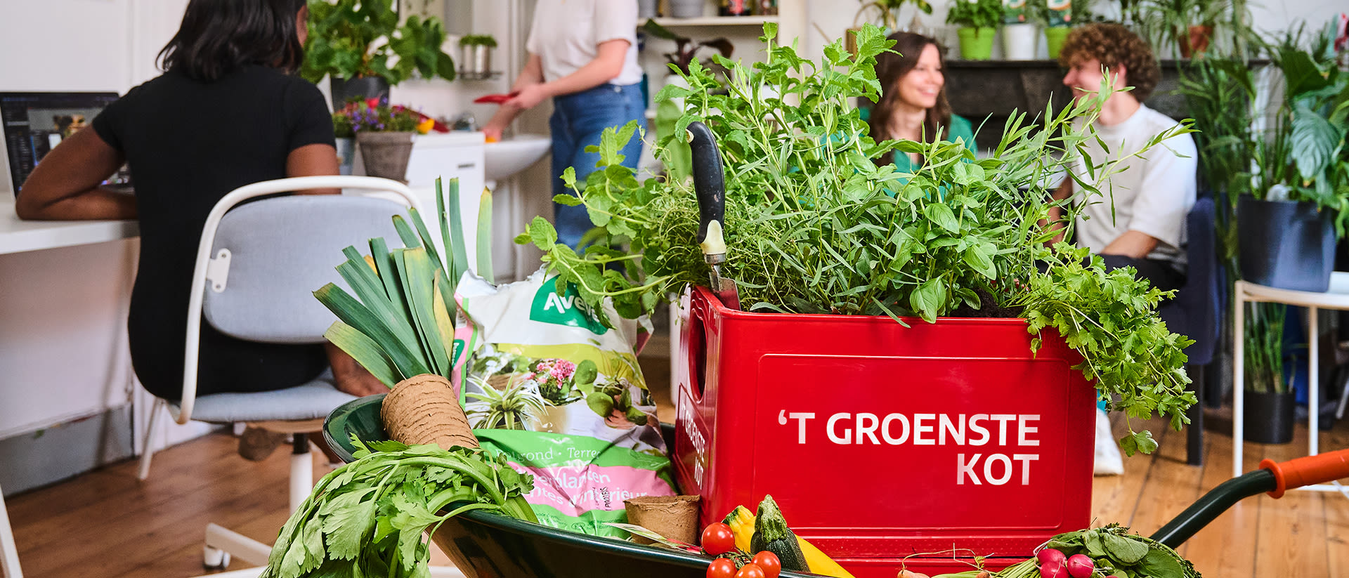 Win jij ‘t Groenste Kot?