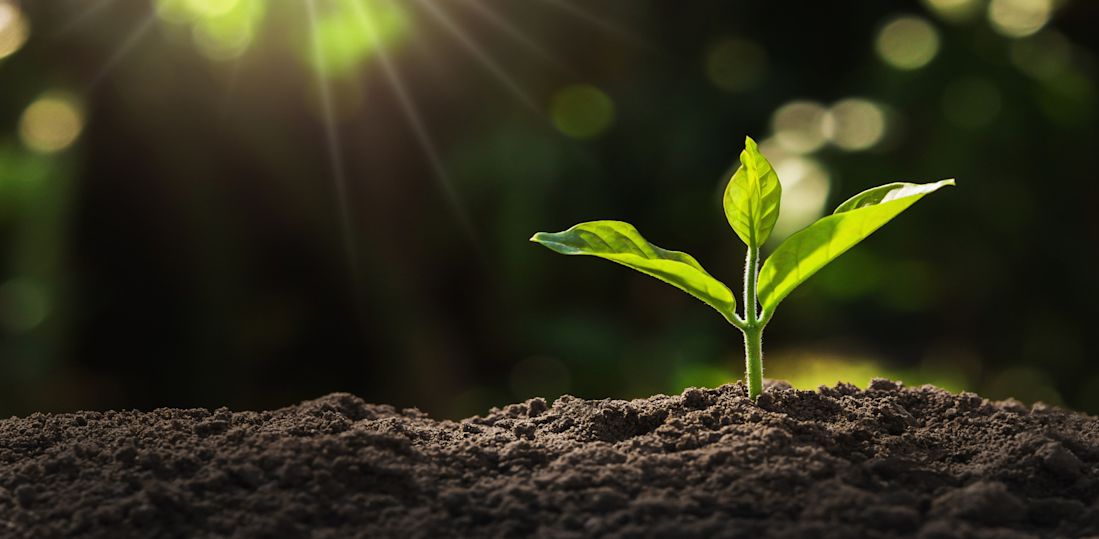 14.10.2025_Nieuwsbrief AH_Bodemstaalanalyse - jouw startpunt voor een sterk seizoen