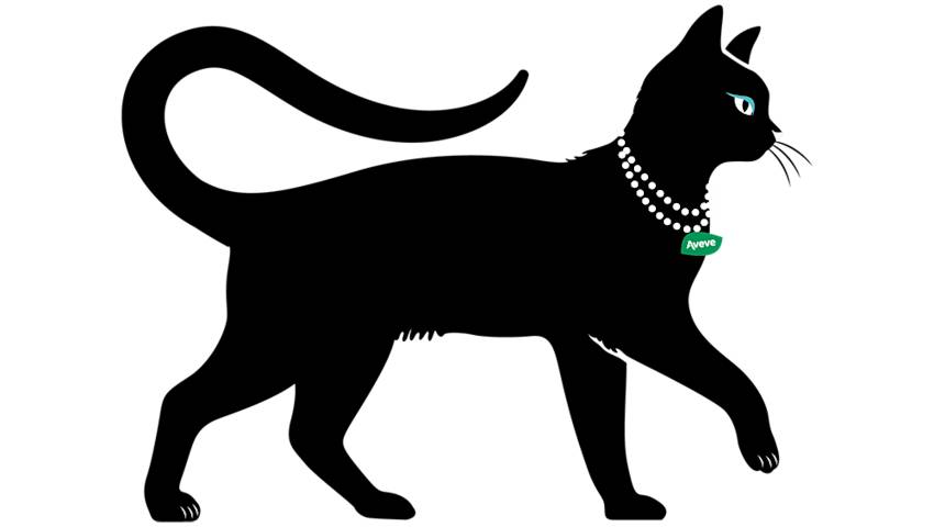 Cilou kat 1