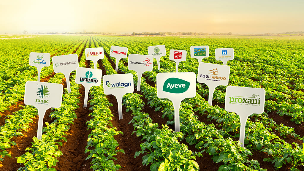 Prikkerbeeld JAN 2025