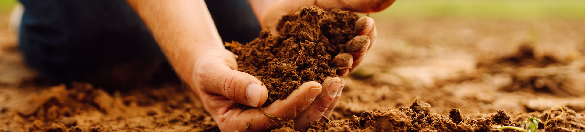 13.03.2026_AH_Nieuwsbrief_Ontdek hoe CEC, Haspargit® en een Eurofinsanalyse je opbrengst versterken 