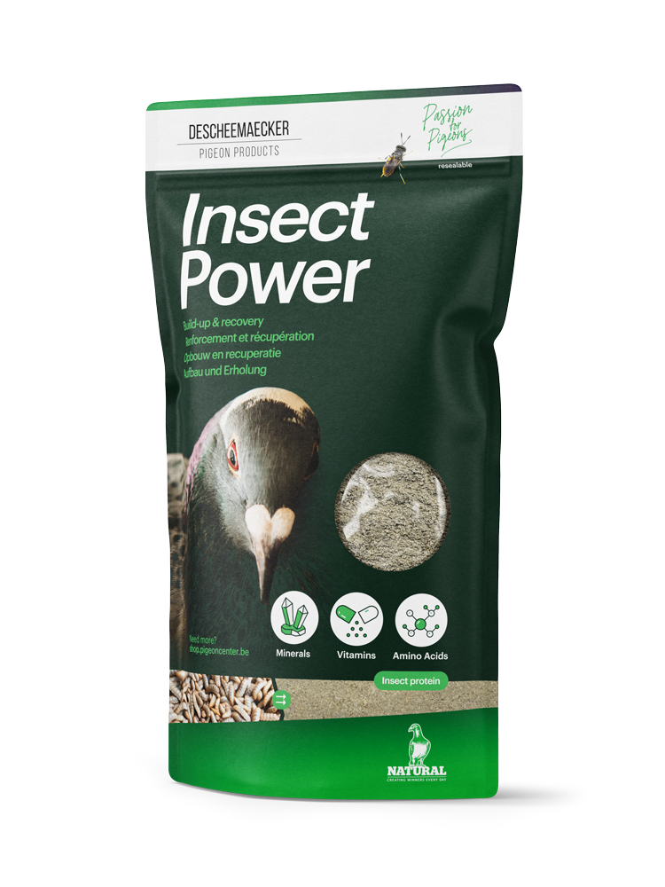 DPC - Insect Power